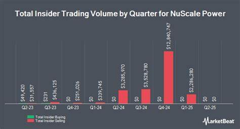 Prediction: 2 Stocks That Will Be Worth More Than NuScale Power 10 Years From Now