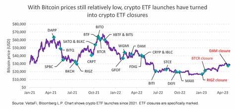 Crypto Market Recovery: BTC ETF Inflows and Solana Institutional Momentum – Weekly Analysis by IntoTheBlock