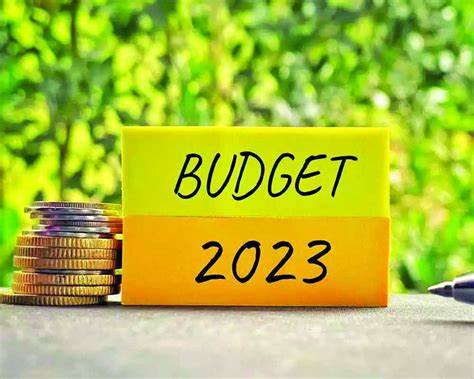 Budget carries forward inclusive growth: PM - The Economic Times