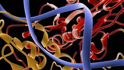 Enzymes from Scratch