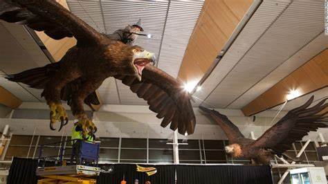 NZ airport to remove Hobbit-themed eagle sculptures