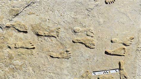Ancient reptile footprints are rewriting the history of when animals evolved