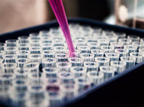Competitive Hormone Supplementation Is Shaping America's Future Business Titans