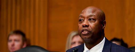 Stablecoin Bill Set to Advance in Senate After Trump Push