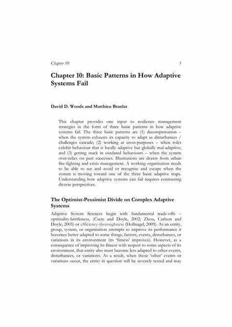 Basic Patterns in How Adaptive Systems Fail