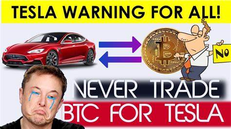 Tesla’s Bitcoin Buy Is a Reckless, Destructive Troll - The New Republic