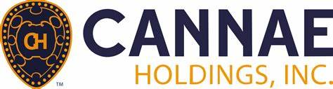 The London Company Small Cap Strategy Exited its Position in Cannae Holdings (CNNE)