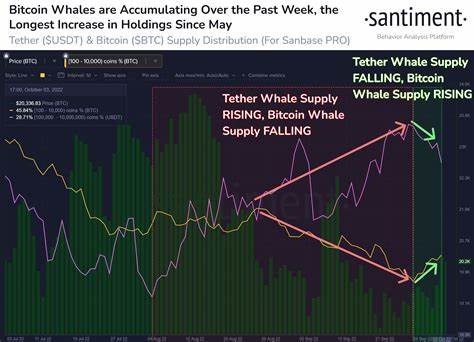 Bitcoin Whales Move 25,982 BTC In 24 Hours, Will This Send BTC Price To $70,000? - Analytics Insight
