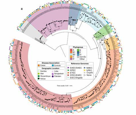 A dangerous E. coli strain has emerged; a small mutation may explain its rise