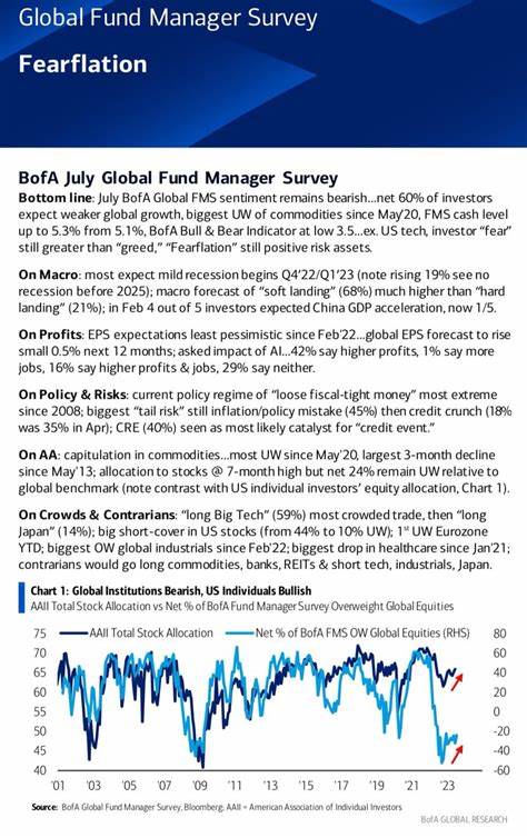 Global Fund Managers Are Upbeat, but Not on the U.S., BofA Survey Shows