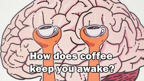 Caffeine Keeps Your Brain "Awake" Even While You Sleep, Study Finds