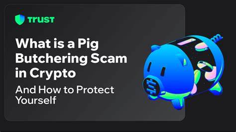 US seizes US$500,000 in crypto from Chinese businessman linked to Asian ‘pig butchering’ scam