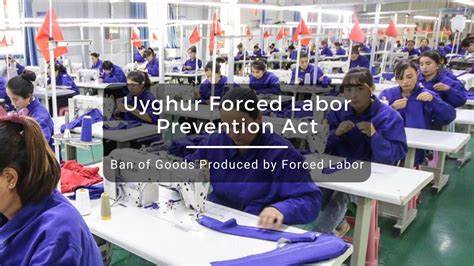 China's economy runs on Uyghur forced labour