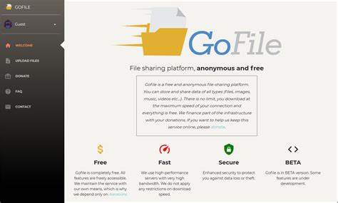 Pasted.sh – yet another temporary file hosting platform