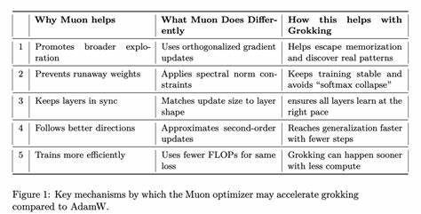 Muon Optimizer Accelerates Grokking