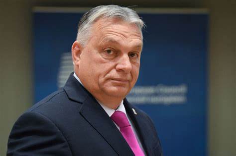 Orban Under Fire After Aide Says Hungary 'Probably' Wouldn't Have Resisted Russian Invasion