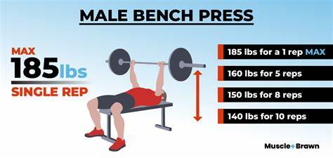 How much can the average man lift?