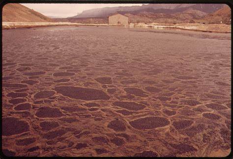 N. Korea discharges uranium waste into waters flowing to S. Korea