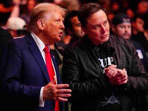 Trump–Musk feud becomes memecoin meta, leads to surge in trading volume