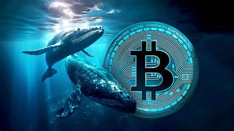 Top 4 Cryptocurrency Picks for the Weekend Amid Rising Whale Activity