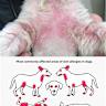 People who are 'allergic' to humans