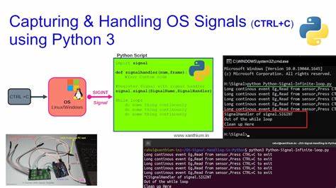 The Missing Manual for Signals: State Management for Python Developers