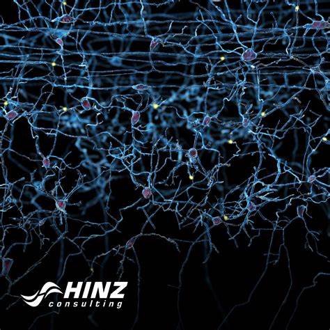 IEEE Milestone Proposal: Convolutional Neural Networks