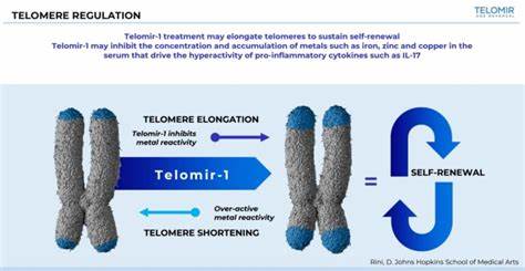 TELO Rises on Promising Telomir-1 Preclinical Results