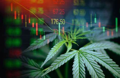 Will Marijuana Alt-Coins Catch On?