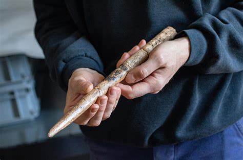 Weapon was made from a whale carcass nearly 20k years ago