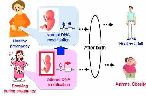 Genetic ancestry and parental smoking linked to new genetic changes in children