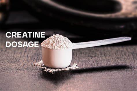 Should You Take Creatine Supplements?