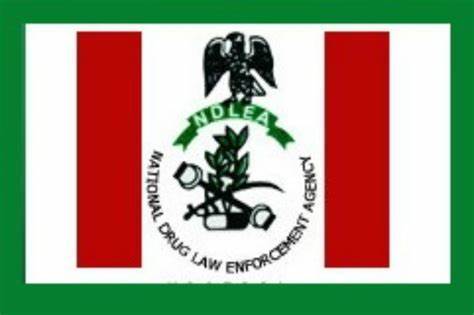 NDLEA Dismisses Allegations of Lopsided Appointments, Nepotism as Baseless