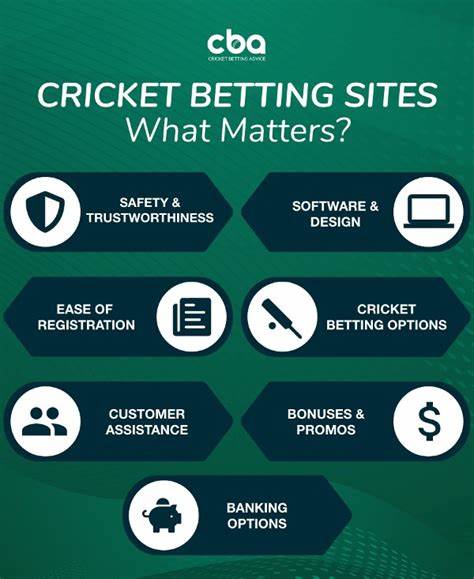 Top 10 Online Cricket Betting Sites in India (October 2024) - SportsCafe