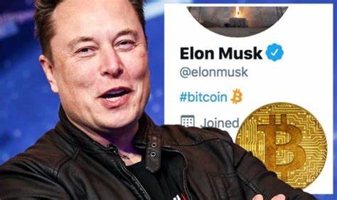 Elon Musk’s Tesla Just Transferred ALL Its Bitcoin - UseTheBitcoin