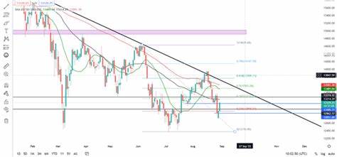 DAX Rallies As China Unveils Aggressive Stimulus