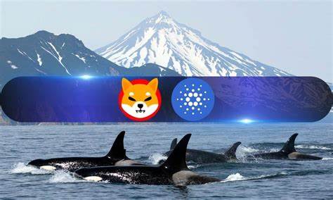 Cardano, Shiba Inu, Jasmy Catch Whale Fever as Large Transactions Spike - CryptoPotato