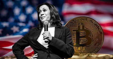 Web3 Leaders Urge Kamala Harris To Favour Inclusive Crypto Policies - TurkishNY Radio