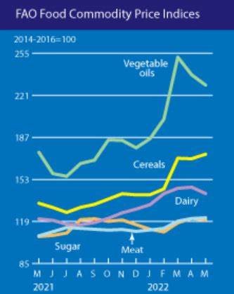Food commodity prices declined in May, led by maize and palm oil – FAO