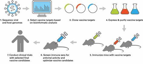 Viral Ribosome Profiling Could Speed Vaccine Development