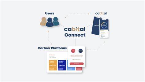 Wir stellen Cabital Connect vor, eine sichere Fiat-On-Ramp- und Off-Ramp-Lösung für Kryptowährungsunternehmen – Finanz-IT
