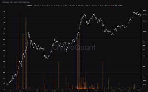 Crypto bull market ‘hasn't started yet’ — LONGITUDE panel