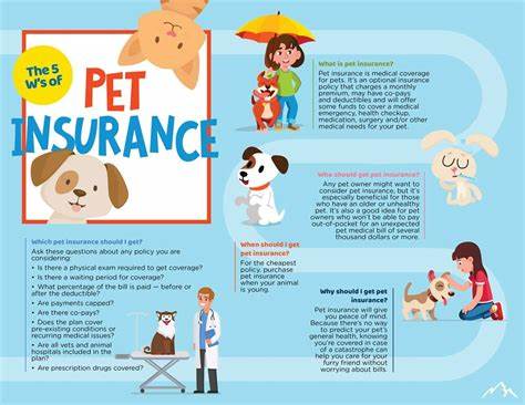 Your guide to what pet insurance covers