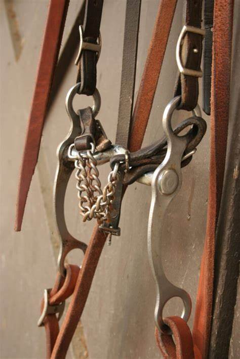 Horse Bits, Used for Thousands of Years. Now Being Reconsidered