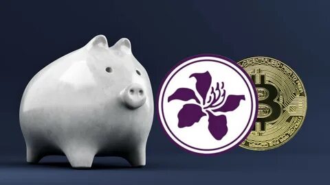 Hongkong fordert Banken dringend auf, Kryptofirmen zu bedienen: Financial Times – Forkast News
