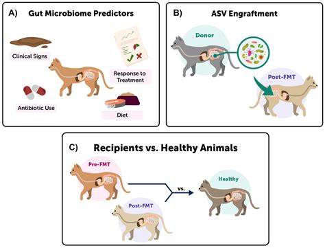 Diet outperforms microbial transplant to drive microbiome recovery in mice