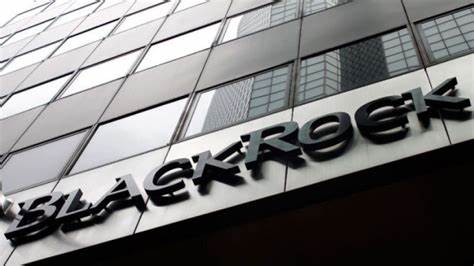 BlackRock’s COO on how the world’s largest asset manager is harnessing AI