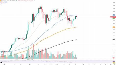 Here's Why Bitcoin Fees Exploding After Halving - TradingView