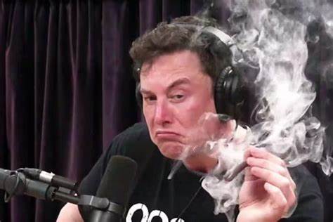 On The Campaign Trail, Elon Musk Juggled Drugs and Family Drama