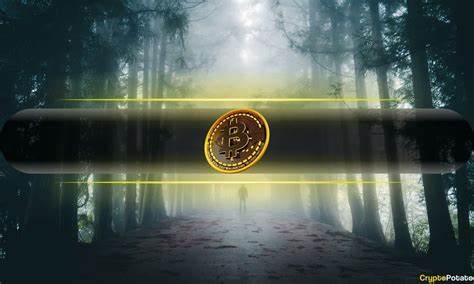 Researchers Regain Access to 11-Year-Old Crypto Wallet, Recover BTC Worth $3M - CryptoPotato